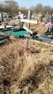 Захоронение ID 1354277