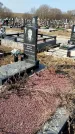 Захоронение ID 1354323
