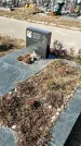 Захоронение ID 1354335