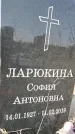 Захоронение ID 1354369