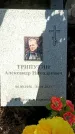 Захоронение ID 1354388