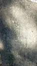 Захоронение ID 1354416