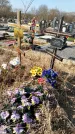 Захоронение ID 1354460