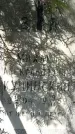 Захоронение ID 1354531