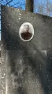 Захоронение ID 1354537