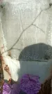 Захоронение ID 1354765