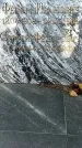 Захоронение ID 1354829