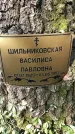 Захоронение ID 1354845
