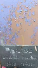 Захоронение ID 1354879