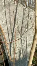 Захоронение ID 1355024