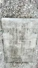 Захоронение ID 1355202