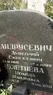 Захоронение ID 1355213