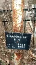 Захоронение ID 1355270