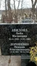 Захоронение ID 1355318