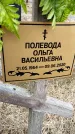 Захоронение ID 1355528