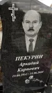 Захоронение ID 1355631