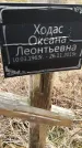 Захоронение ID 1355721
