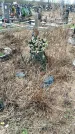 Захоронение ID 1355759