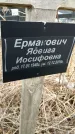 Захоронение ID 1355787