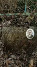 Захоронение ID 1355856