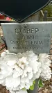 Захоронение ID 1355877