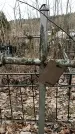 Захоронение ID 1355904