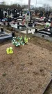 Захоронение ID 1355929