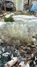Захоронение ID 1355999