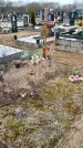 Захоронение ID 1356042