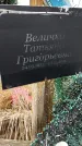 Захоронение ID 1356053