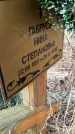 Захоронение ID 1356084