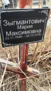Захоронение ID 1356164