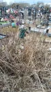 Захоронение ID 1356184