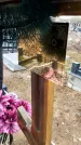 Захоронение ID 1356265