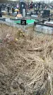 Захоронение ID 1356287