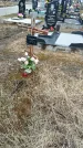 Захоронение ID 1356299