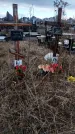 Захоронение ID 1356303