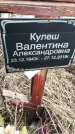 Захоронение ID 1356305