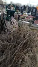 Захоронение ID 1356328