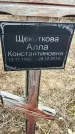 Захоронение ID 1356337