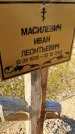 Захоронение ID 1356502