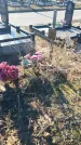 Захоронение ID 1356605