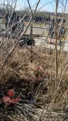 Захоронение ID 1356706