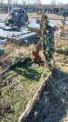 Захоронение ID 1356745