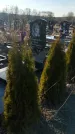 Захоронение ID 1356899