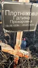 Захоронение ID 1357423