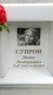 Захоронение ID 1357859