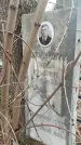 Захоронение ID 1357915