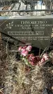 Захоронение ID 1357955