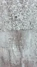 Захоронение ID 1358052